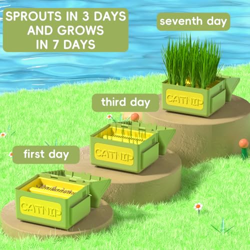 Qpets® Cat Grass Planting Box Catnip Growing House Cartoon Pot Plastic Home Décor Element Not Contain Grass 12x9x12CM 2PCS Qpets® Cat Grass Planting Box Catnip Growing House Cartoon Pot Plastic Home Décor Element Not Contain Grass 12x9x12CM 2PCS